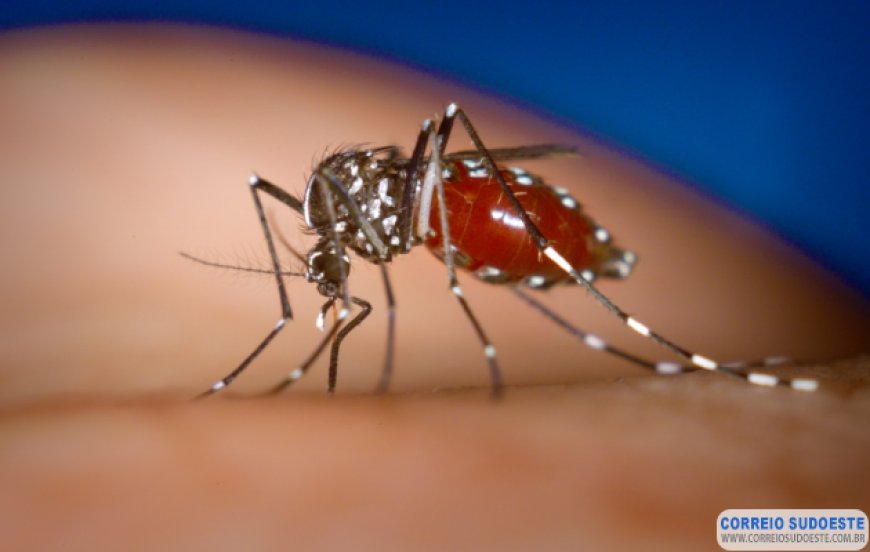 Com mais de mil casos em um mês, dengue avança em Guaxupé e em todo país