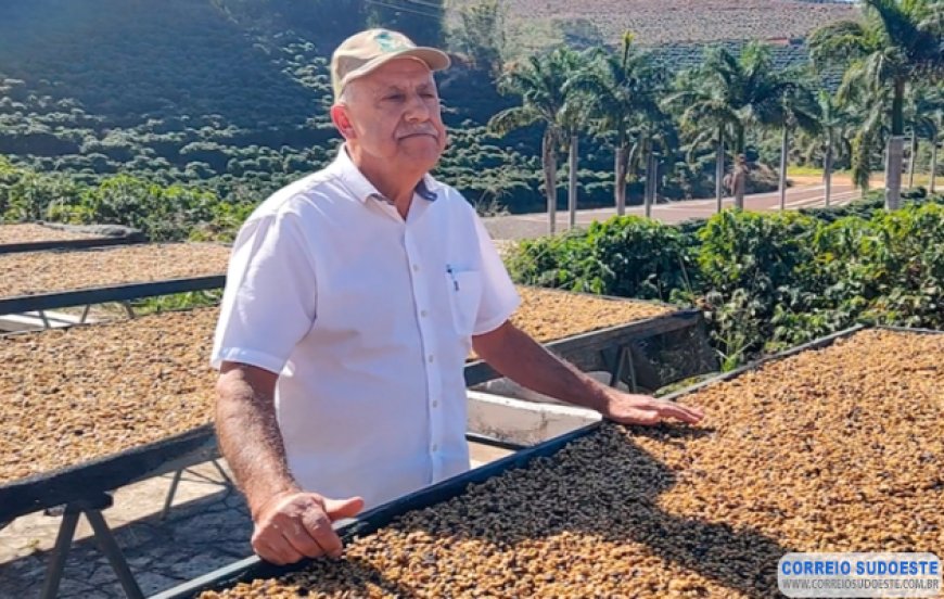 Café de Cabo Verde vendido para rede de cafeterias chinesa é fruto de tecnologia e sustentabilidade