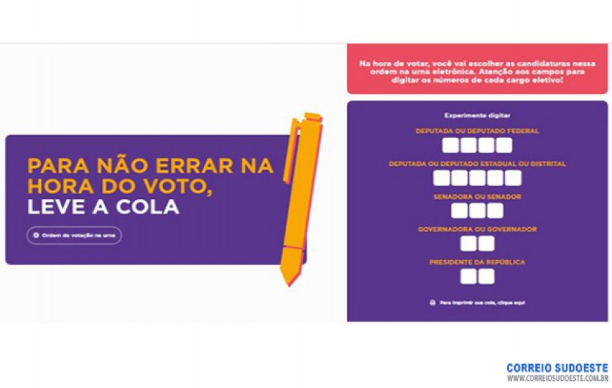 Eleitor pode levar colinha com números dos candidatos para agilizar votação