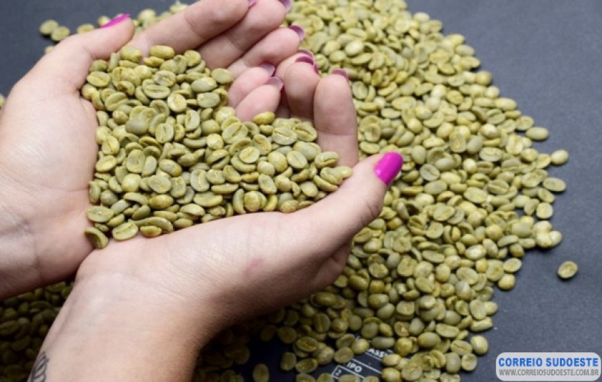 EMPRESA CANADENSE PREMIA CAFÉ DE COOPERADAS DA COOXUPÉ