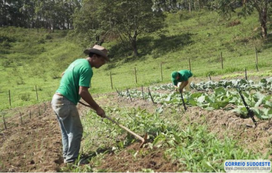 GOVERNO ANUNCIA MEDIDAS ECONÔMICAS PARA AJUDAR PRODUTORES RURAIS AFETADOS PELA PANDEMIA DO CORONAVÍRUS