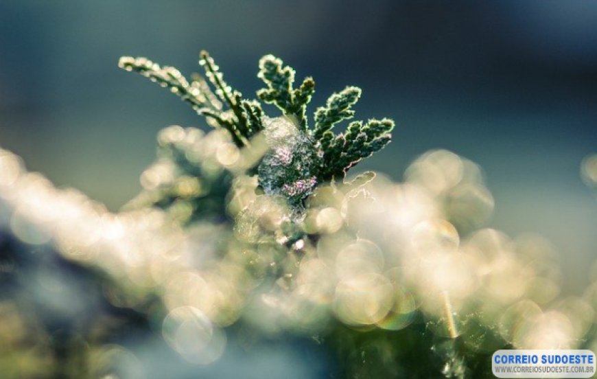 INVERNO NO HEMISFÉRIO SUL COMEÇA NO DIA 21 DE JUNHO