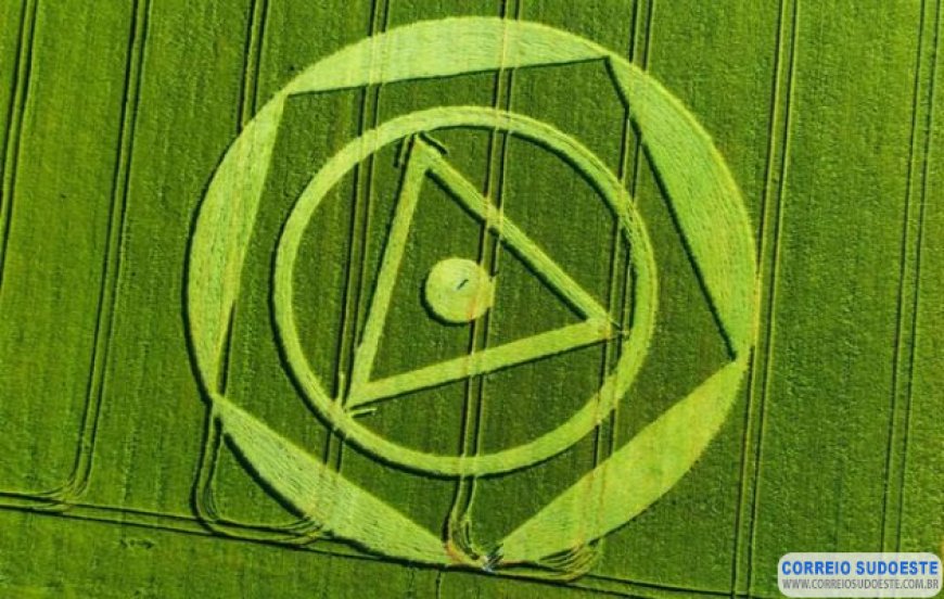 Agroglifos aparecem em plantação de trigo em Ipuaçu, no Oeste de SC
