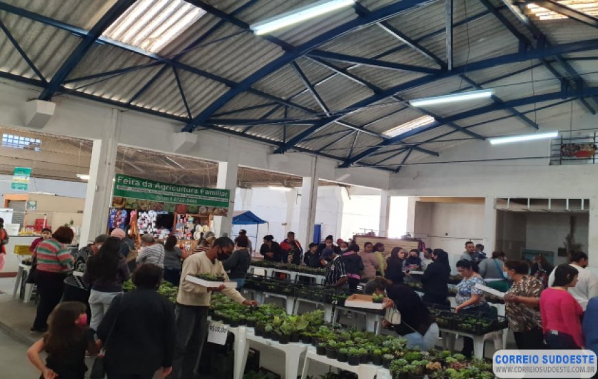 Voluntários estão tentando reativar o Mercado Municipal de Guaxupé