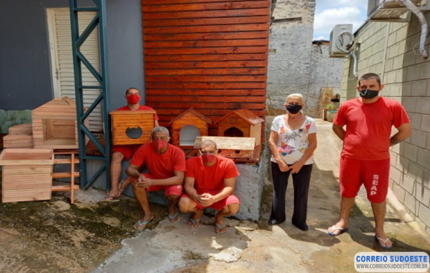 PRESOS FABRICAM CASAS DE MADEIRA PARA AJUDAR ONG QUE ACOLHE ANIMAIS ABANDONADOS