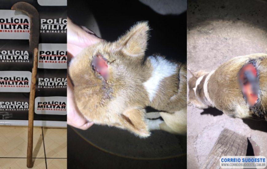 Crueldade em Arceburgo: Casal é preso após agredir cão com foice e negar socorro