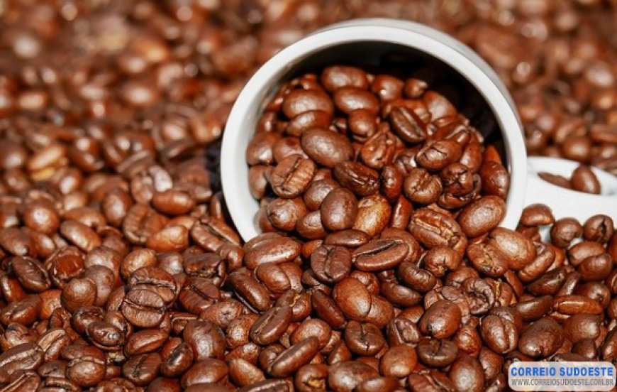 Preço do café arábica registra queda
