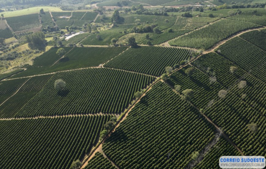 Produtores de café do Sudoeste de Minas conquistam o reconhecimento de Indicação Geográfica