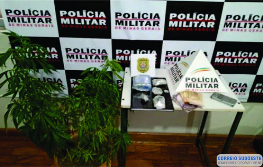 OPERAÇÃO POLICIAL RESULTA EM APREENSÃO DE DROGAS E ATÉ PÉ DE MACONHA