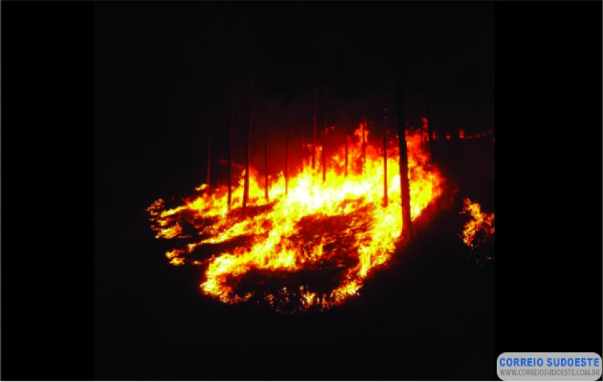 BOMBEIROS COMBATEM INCÊNDIO EM FAZENDA