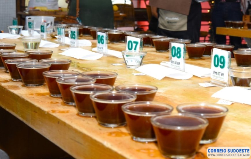 Começam as inscrições para o Concurso de Qualidade dos Cafés de Minas Gerais de 2023