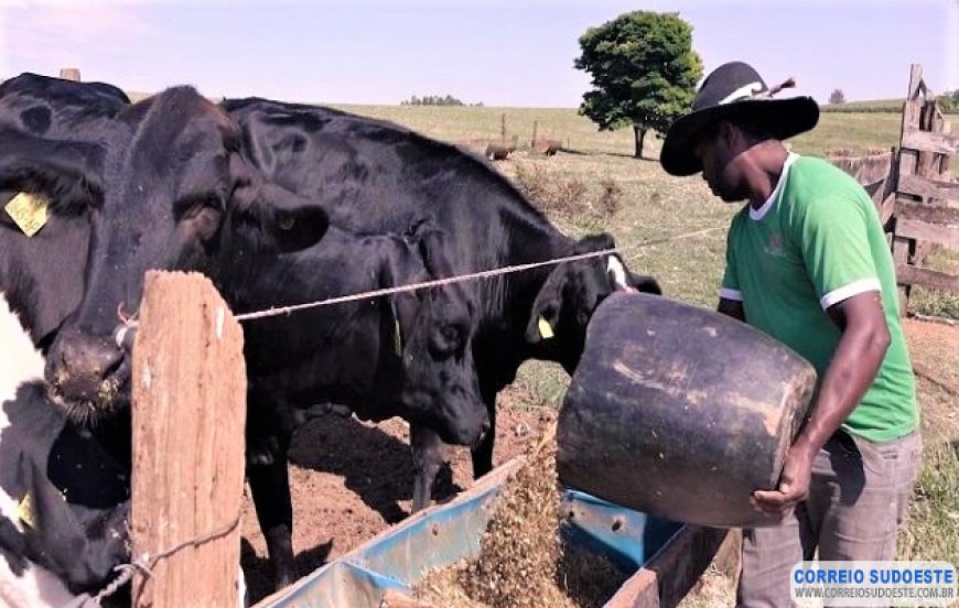 ALTA DE CUSTOS DE PRODUÇÃO PREOCUPA PRODUTORES DE LEITE