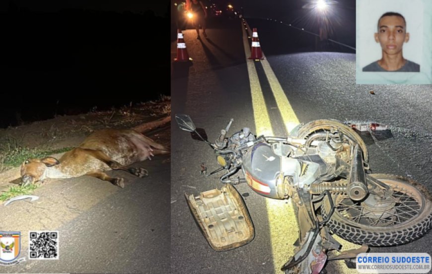 Animal na pista causa morte de motoqueiro guaxupeano