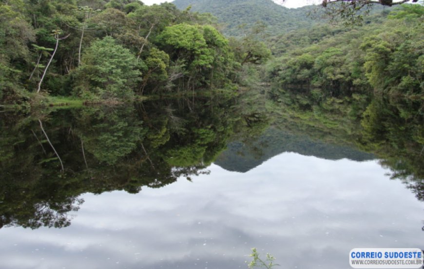 Pró-Mananciais da Copasa busca interessados em desenvolver ações para recuperação de mananciais