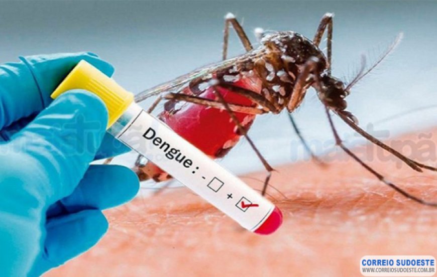 CASOS DE DENGUE VEM AUMENTANDO EM GUAXUPÉ