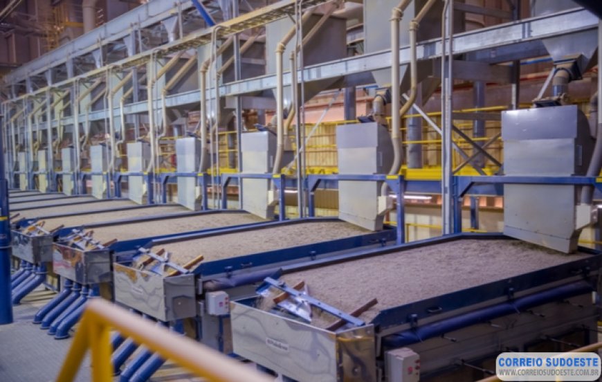Cooxupé registra maior produção de café preparado da história
