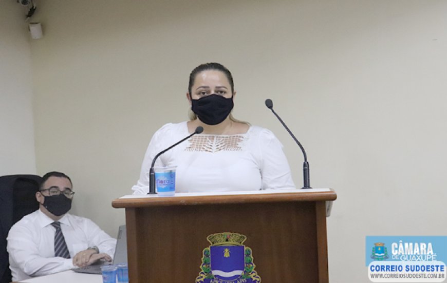 AUDIÊNCIA PÚBLICA DEBATEU INCÔMODO CAUSADO POR NOVOS  MORADORES DO VALE VERDE