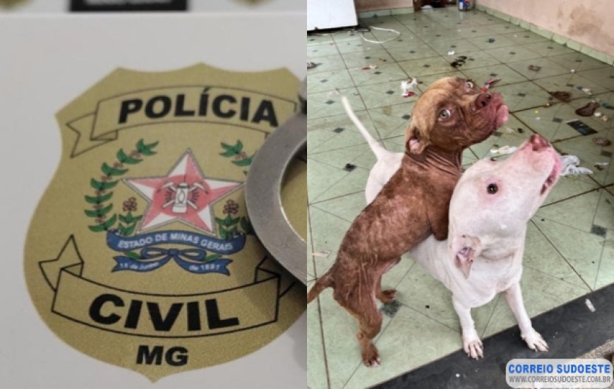 Polícia Civil resgata cães em situação de maus-tratos em Guaxupé
