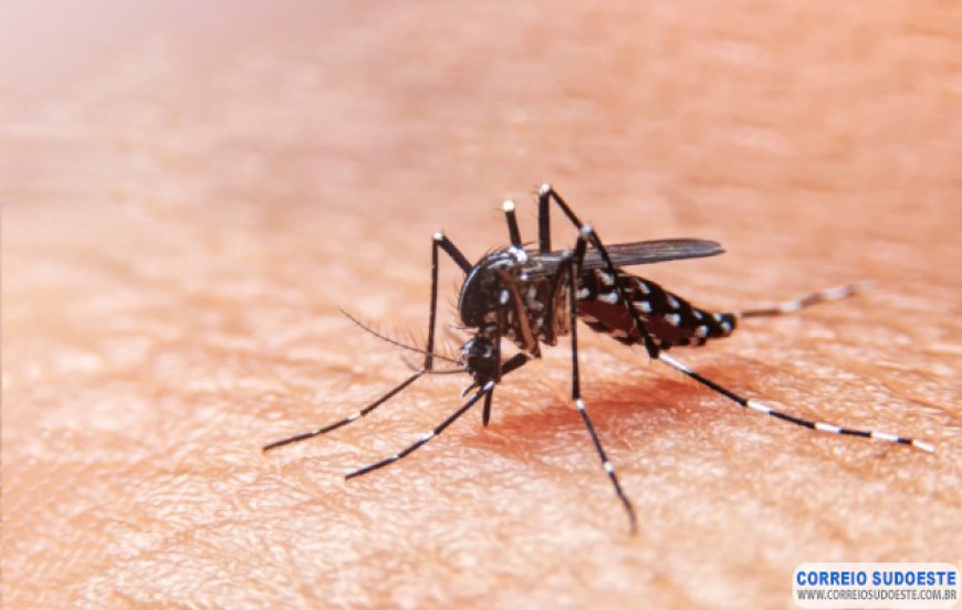 Casos de febre Oropouche aumentam em Minas Gerais