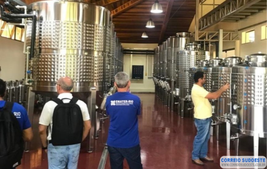 Técnicos da Emater do Rio de Janeiro estão no Sul de Minas para conhecer a produção de uvas e vinho da região