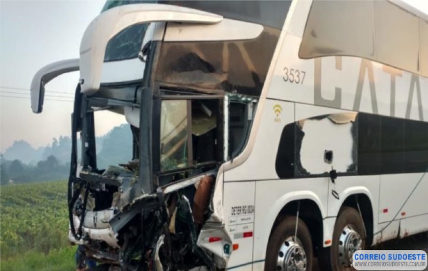 SEGURO DPVAT: MAIORIA DE ACIDENTES COM ÔNIBUS TEM PEDESTRES COMO VÍTIMAS