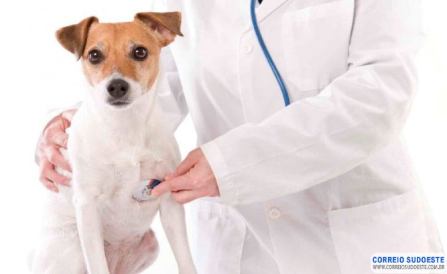 RECOMENDAÇÕES DO CFMV PARA O ATENDIMENTO VETERINÁRIO DURANTE A CRISE DO CORONAVÍRUS